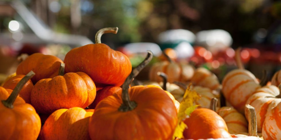 Paint a Pumpkin!